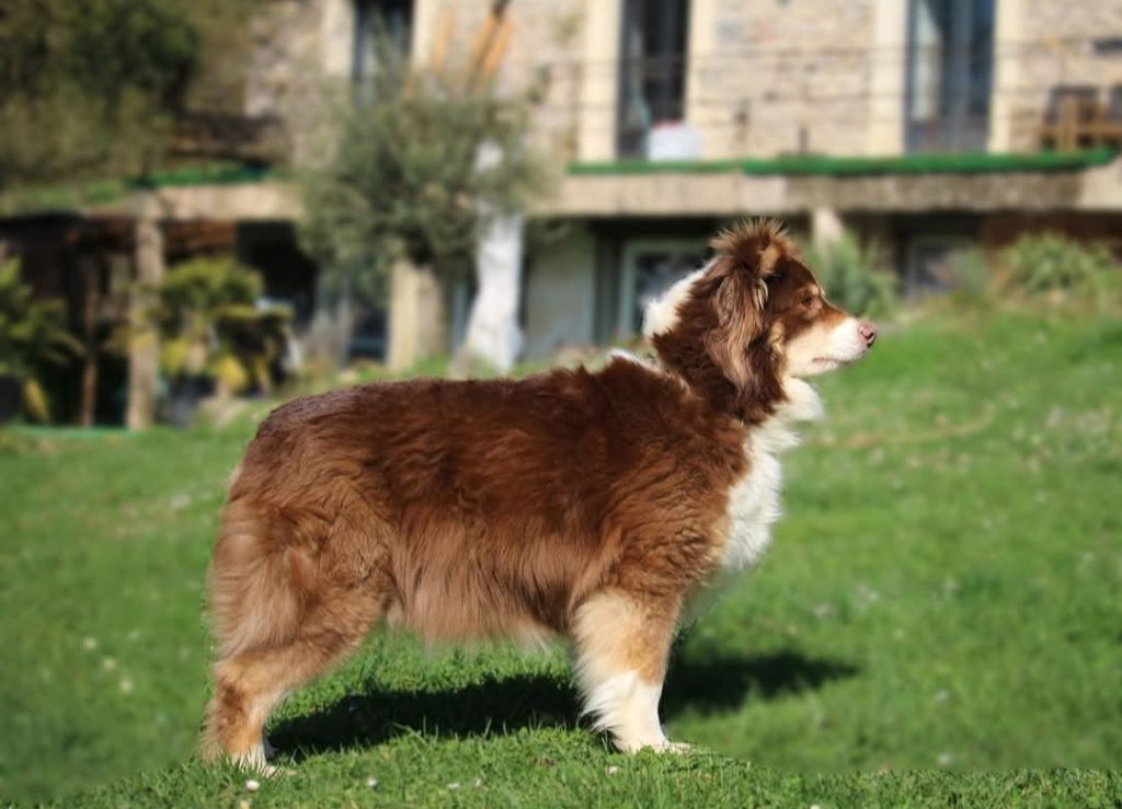 Make tonight all mine for cdf of Angels Mind