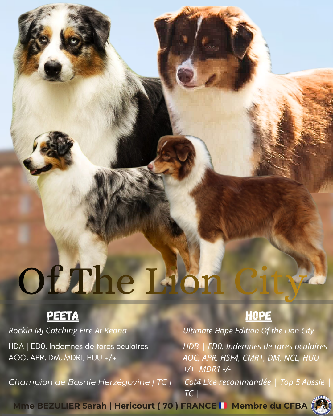 Les premiers bébés 2026 seront bientôt avec nous